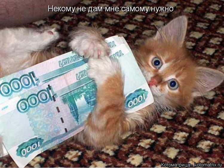 Котоматрица: Некому не дам мне самому нужно