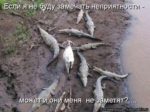 Котоматрица: Если я не буду замечать неприятности -  может и они меня  не заметят?....