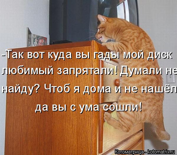 Котоматрица: -Так вот куда вы гады мой диск любимый запрятали! Думали не найду? Чтоб я дома и не нашёл да вы с ума сошли!