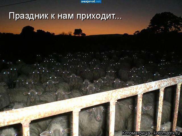 Праздник к нам приходит...... Котоматрица: Праздник к нам приходит...