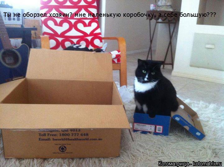 Ты не оборзел хозяин? мне маленькую коробочку, а себе большую???... Котоматрица: Ты не оборзел хозяин? мне маленькую коробочку, а себе большую???