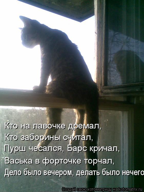 Пурш чесался, Барс кричал, Кто на лавочке дремал, Кто заборины считал, Васька в форточке торчал, Дело... Котоматрица: Пурш чесался, Барс кричал, Кто на лавочке дремал, Кто заборины считал, Васька в форточке торчал, Дело было вечером, делать было нечего