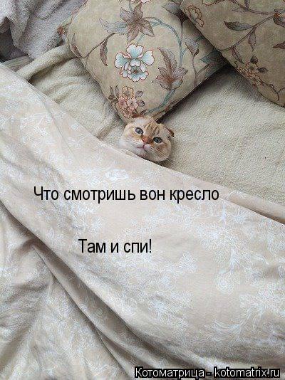 Котоматрица: Что смотришь вон кресло Там и спи!