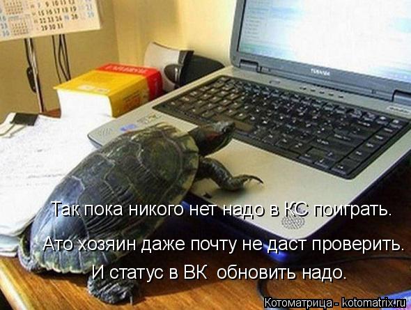 Так пока никого нет надо в КС поиграть. Ато хозяин даже почту не даст проверить. И статус в ВК обно... Котоматрица: Так пока никого нет надо в КС поиграть. Ато хозяин даже почту не даст проверить. И статус в ВК обновить надо.