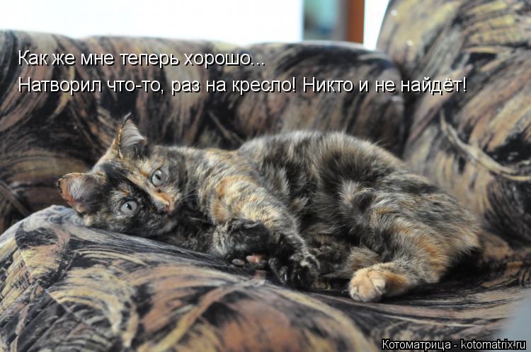 Котоматрица: Как же мне теперь хорошо... Натворил что-то, раз на кресло! Никто и не найдёт!