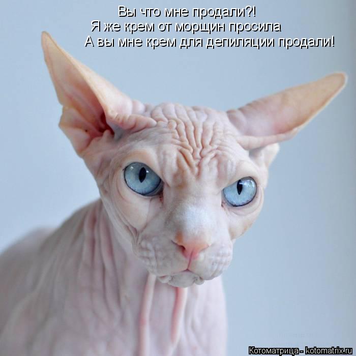 Вы что мне продали?! Я же крем от морщин просила А вы мне крем для депиляции продали!... Котоматрица: Вы что мне продали?! Я же крем от морщин просила А вы мне крем для депиляции продали!
