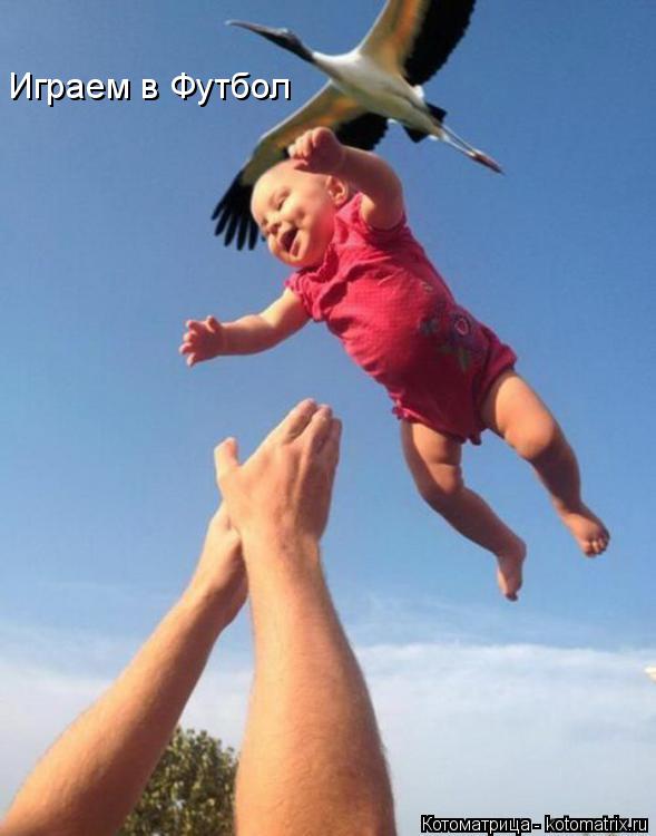 Котоматрица: Играем в Футбол