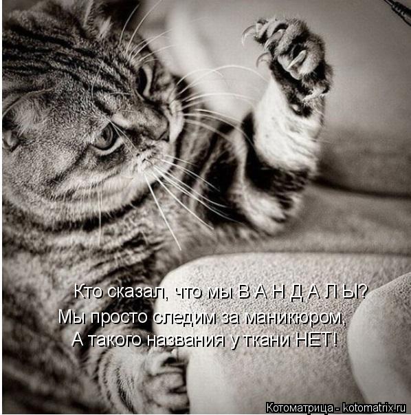 Кто сказал, что мы В А Н Д А Л Ы? Мы просто следим за маникюром, А такого названия у ткани НЕТ!... Котоматрица: Кто сказал, что мы В А Н Д А Л Ы? Мы просто следим за маникюром, А такого названия у ткани НЕТ!