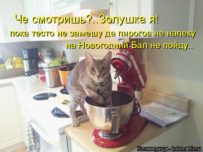 Че смотришь?..Золушка я! пока тесто не замешу да пирогов не напеку на Новогодний Бал не пойду..... Котоматрица: Че смотришь?..Золушка я! пока тесто не замешу да пирогов не напеку на Новогодний Бал не пойду..