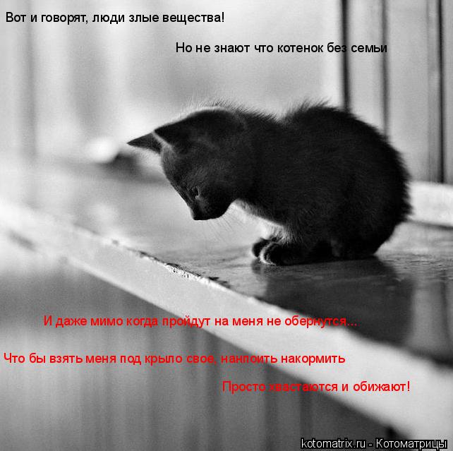 Вот и говорят, люди злые вещества! Но не знают что котенок без семьи И даже мимо когда пройдут на мен... Котоматрица: Вот и говорят, люди злые вещества! Но не знают что котенок без семьи И даже мимо когда пройдут на меня не обернутся... Что бы взять меня под кр