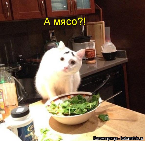 Котоматрица: А мясо?!