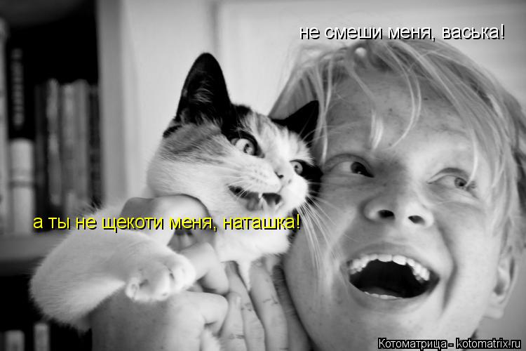 Котоматрица: не смеши меня, васька! а ты не щекоти меня, наташка!