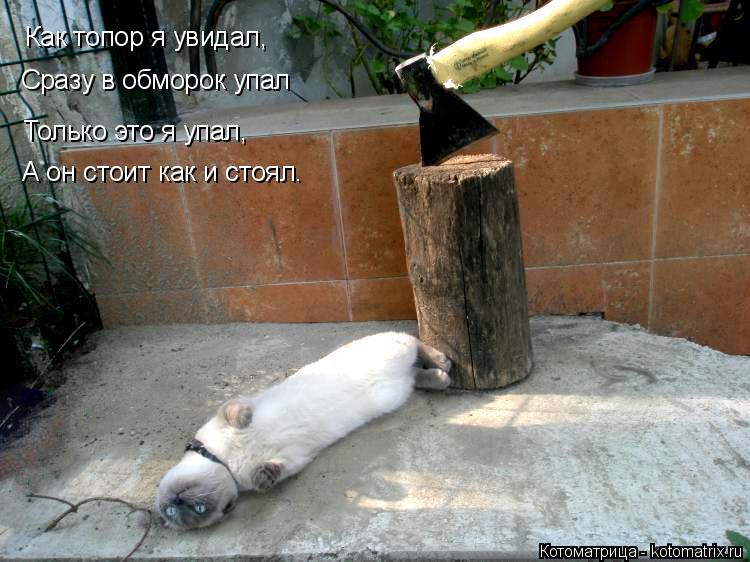 Котоматрица: Как топор я увидал, Сразу в обморок упал Только это я упал, А он стоит как и стоял.
