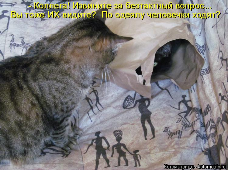Котоматрица: - Коллега! Извините за безтактный вопрос... Вы тоже ИХ видите?  По одеялу человечки ходят?