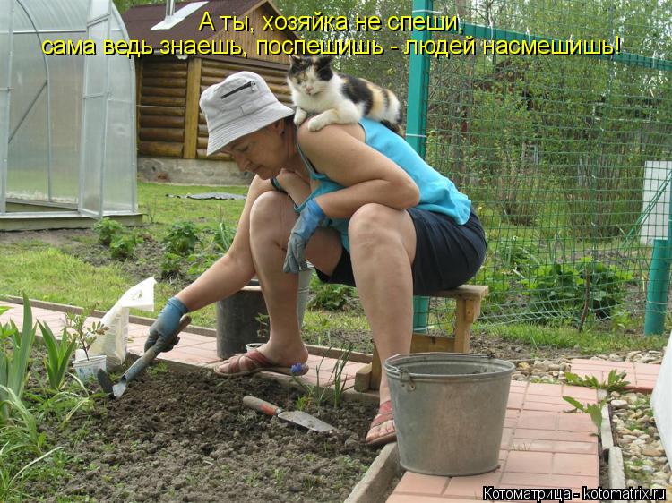 Котоматрица: сама ведь знаешь, поспешишь - людей насмешишь! А ты, хозяйка не спеши,