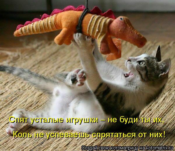Спят усталые игрушки – не буди ты их, Коль не успеваешь спрятаться от них!... Котоматрица: Спят усталые игрушки – не буди ты их, Коль не успеваешь спрятаться от них!