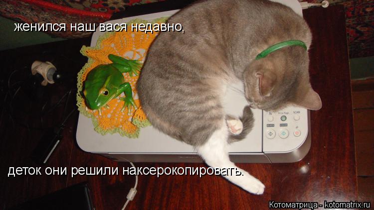 Котоматрица: женился наш вася недавно, деток они решили наксерокопировать.