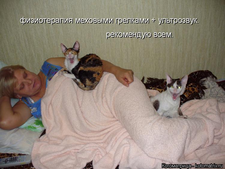 Котоматрица: физиотерапия меховыми грелками + ультрозвук. рекомендую всем.