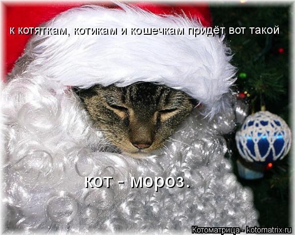 Котоматрица: к котяткам, котикам и кошечкам придёт вот такой  кот - мороз.