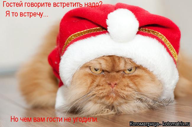 Котоматрица: Гостей говорите встретить надо? Но чем вам гости не угодили. Я то встречу...