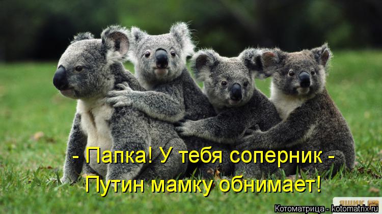 Котоматрица: - Папка! У тебя соперник - Путин мамку обнимает!