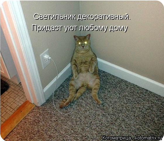 Светильник декоративный. Придаст уют любому дому... Котоматрица: Светильник декоративный. Придаст уют любому дому