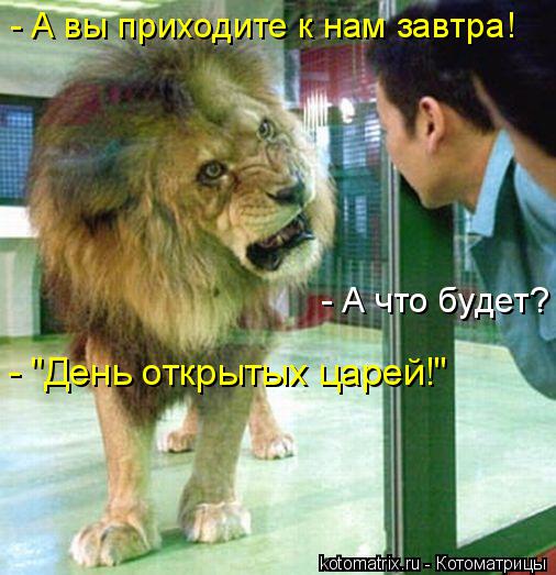 Котоматрица: - А вы приходите к нам завтра! - А что будет? - "День открытых царей!"