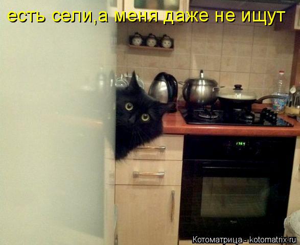 Котоматрица: есть сели,а меня даже не ищут