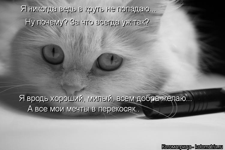 Я никогда ведь в круть не попадаю... Ну почему? За что всегда уж так? Я вродь хороший, милый, всем до... Котоматрица: Я никогда ведь в круть не попадаю... Ну почему? За что всегда уж так? Я вродь хороший, милый, всем добра желаю... А все мои мечты в перекосяк..