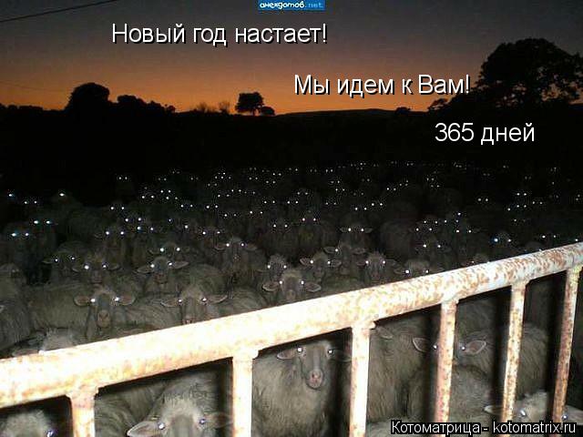 Котоматрица: Новый год настает! Мы идем к Вам! 365 дней