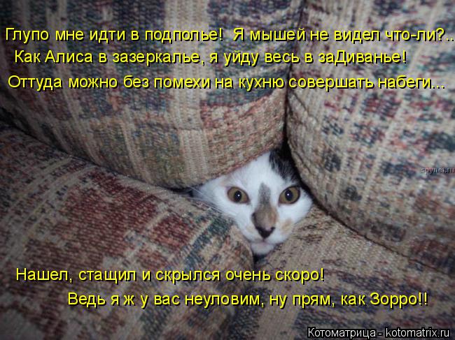 Котоматрица: Глупо мне идти в подполье!  Я мышей не видел что-ли?... Как Алиса в зазеркалье, я уйду весь в заДиванье! Оттуда можно без помехи на кухню соверш