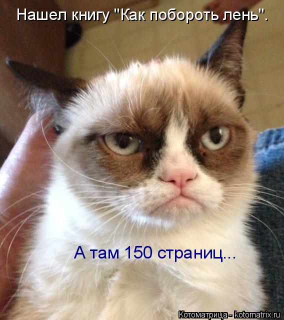 Котоматрица: А там 150 страниц... Нашел книгу "Как побороть лень".