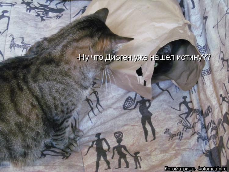 Котоматрица: -Ну что,Диоген,уже нашел истину??