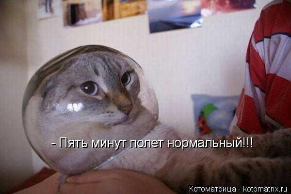 Котоматрица: - Пять минут полет нормальный!!!