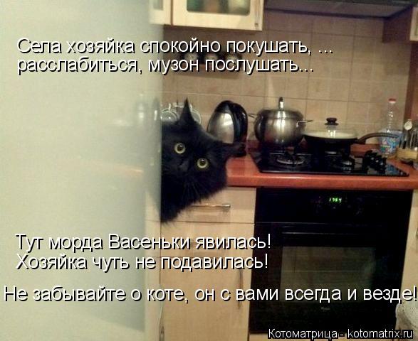 Котоматрица: Села хозяйка спокойно покушать, ... Тут морда Васеньки явилась! Хозяйка чуть не подавилась! расслабиться, музон послушать... Не забывайте о ко