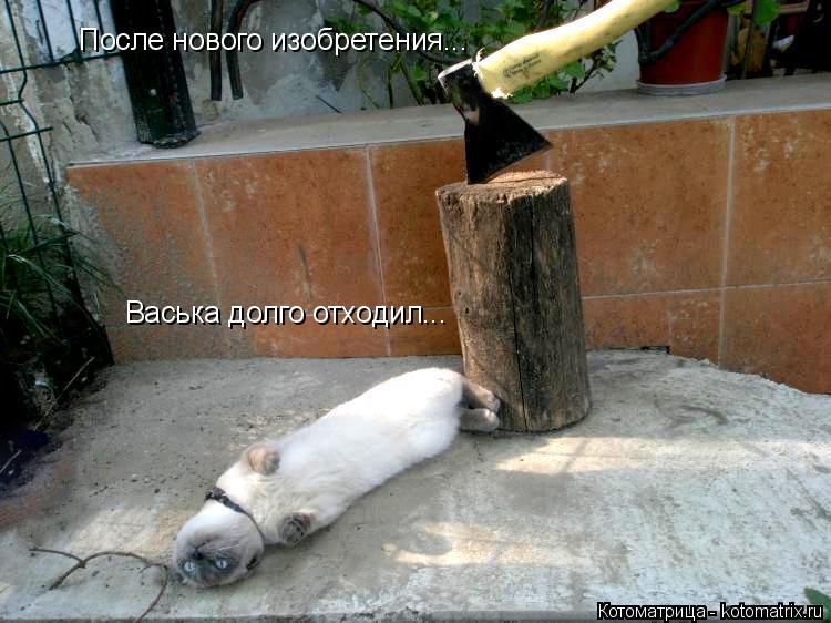 Котоматрица: После нового изобретения... Васька долго отходил...