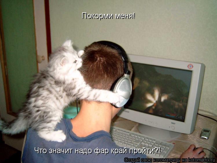 Котоматрица: Покорми меня! Что значит надо фар край пройти?!