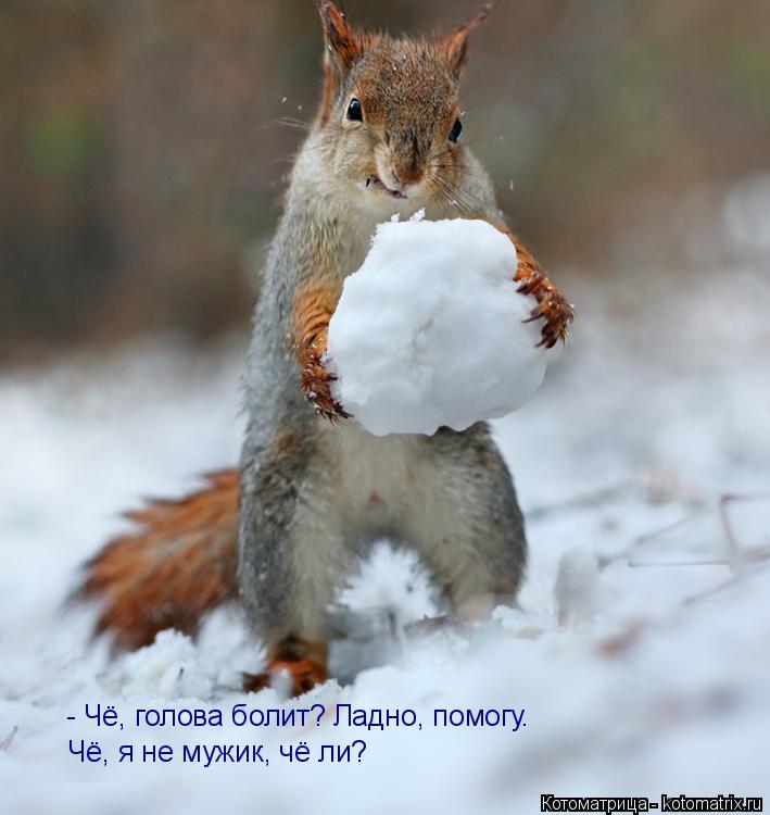 Котоматрица: - Чё, голова болит? Ладно, помогу. Чё, я не мужик, чё ли?