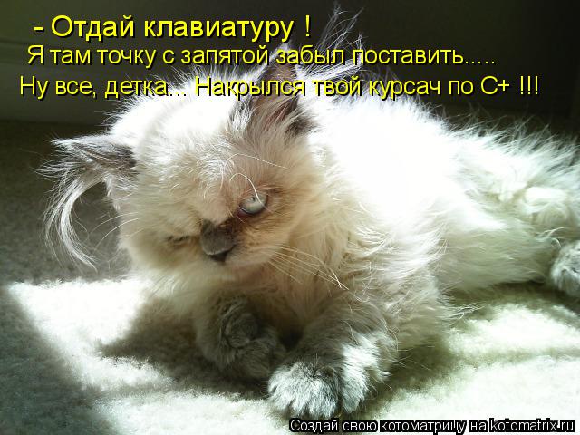 Котоматрица: - Отдай клавиатуру !  Я там точку с запятой забыл поставить..... Ну все, детка... Накрылся твой курсач по C+ !!!