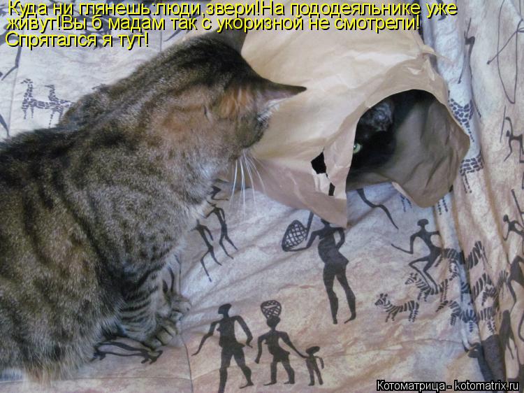 Котоматрица: Куда ни глянешь:люди,звери!На пододеяльнике уже живут!Вы б мадам так с укоризной не смотрели! Спрятался я тут!