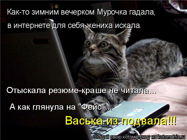 Котоматрица: Как-то зимним вечерком Мурочка гадала, в интернете для себя жениха искала. Отыскала резюме-краше не читала... А как глянула на "Фейс"... Васька 