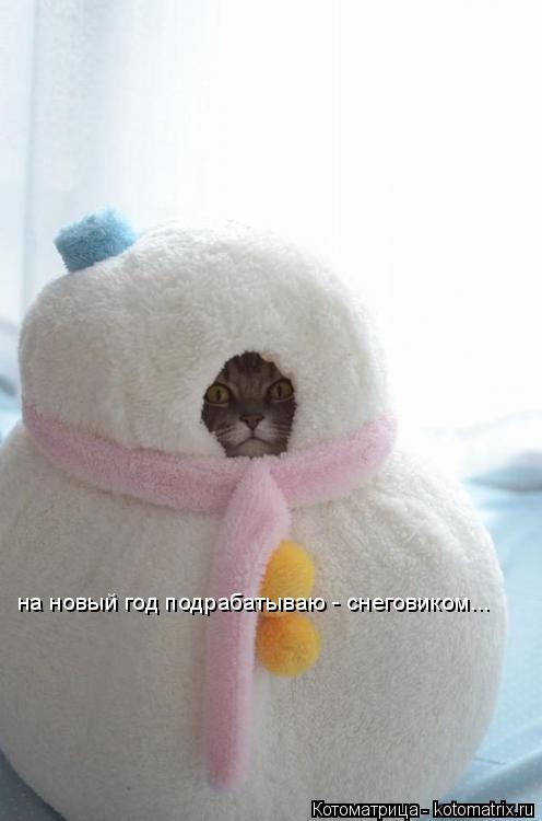 Котоматрица: на новый год подрабатываю - снеговиком...