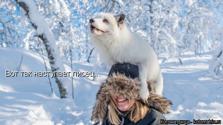 Вот так наступает писец...... Котоматрица: Вот так наступает писец...
