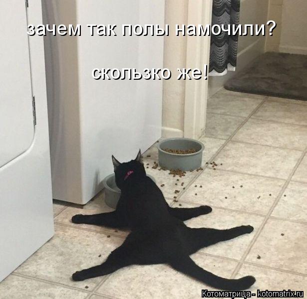 Котоматрица: зачем так полы намочили? скользко же!