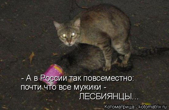 Котоматрица: - А в России так повсеместно: почти что все мужики - ЛЕСБИЯНЦЫ…