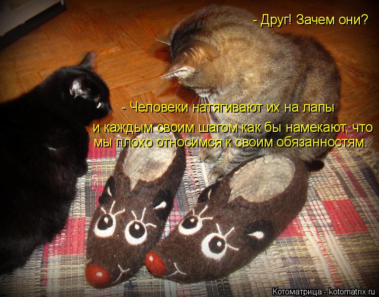 Котоматрица: - Друг! Зачем они? - Человеки натягивают их на лапы  и каждым своим шагом как бы намекают, что мы плохо относимся к своим обязанностям.
