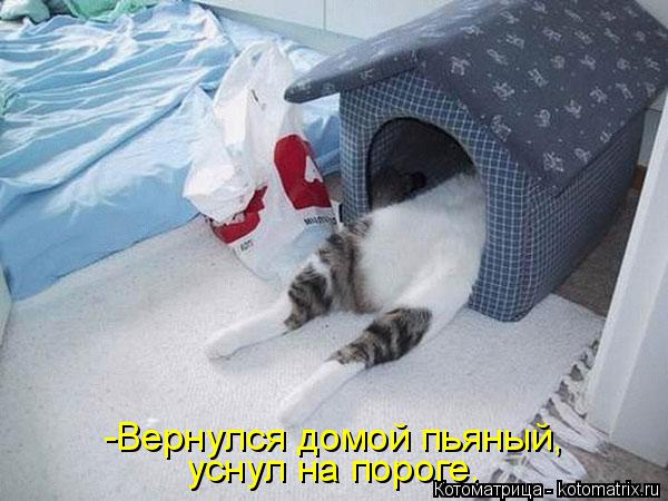 Котоматрица: -Вернулся домой пьяный, уснул на пороге.