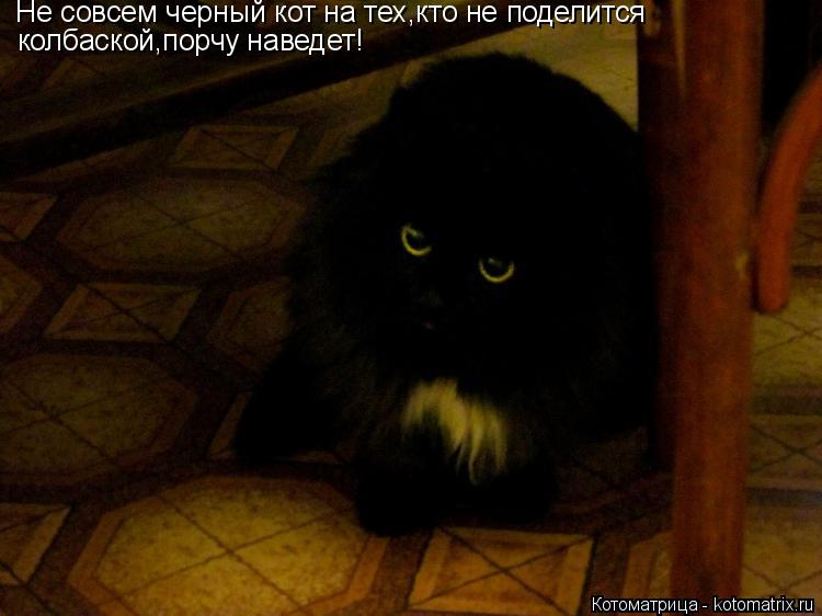 Котоматрица: Не совсем черный кот на тех,кто не поделится  колбаской,порчу наведет!