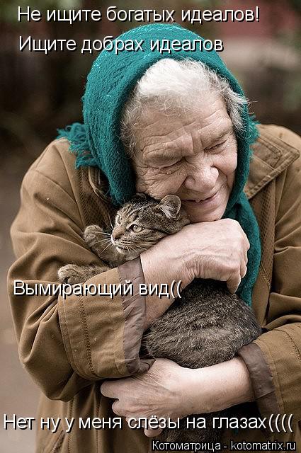 Котоматрица: Не ищите богатых идеалов! Ищите добрах идеалов Вымирающий вид(( Нет ну у меня слёзы на глазах((((