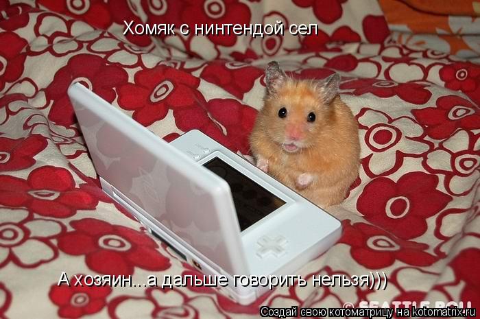 Котоматрица: Хомяк с нинтендой сел А хозяин...а дальше говорить нельзя)))